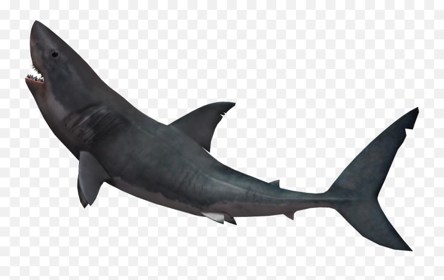 Shark Sticker By Peralta King - Jumping Shark Transparent Background Emoji,Shark Transparent Background