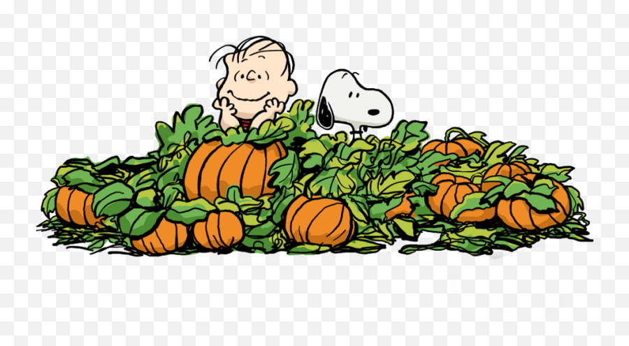 Peanuts Clipart Halloween Peanuts - Charlie Brown Pumpkin Patch Clipart Emoji,Halloween Clipart