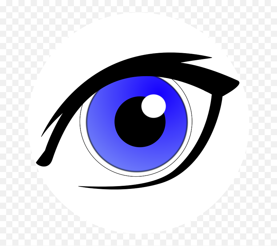 Human Organs Eyes Eye Vision The Eye Png Image And - Blue Green Eye Emoji,Eye Clipart Png
