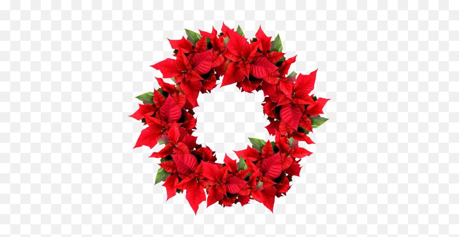 Holiday Wreath Png Transparent - Transparent Background Christmas Wreath Png Emoji,Wreath Png