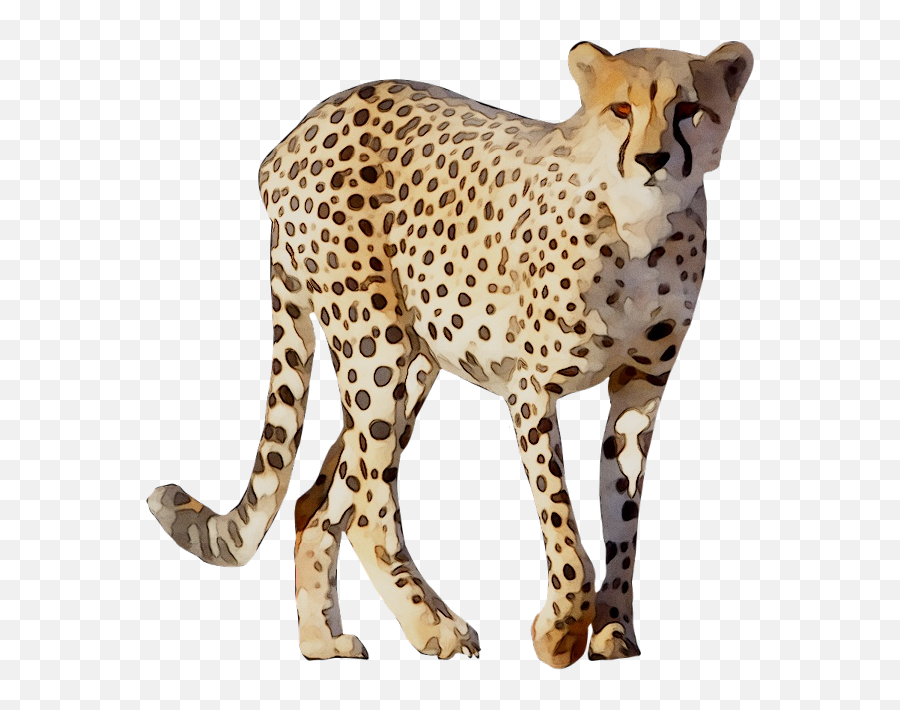 Cheetah Leopard Lion Animal Drawing - Animal Figure Emoji,Cheetah Clipart