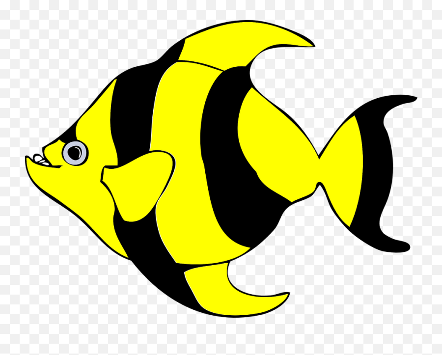 Fish Stripes Fins - Free Vector Graphic On Pixabay Emoji,Koi Fish Clipart