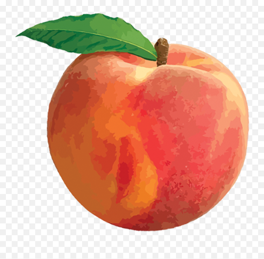Download Peach Png Hq Png Image - Transparent Background Peach Clip Art Emoji,Peach Png