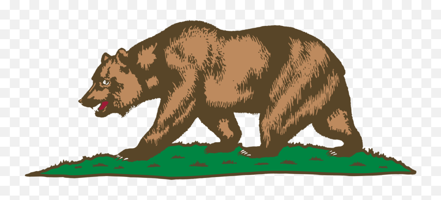 Wildlife Carnivoran Bear Png Clipart - Art California Bear Flag Emoji,Grizzly Bear Png
