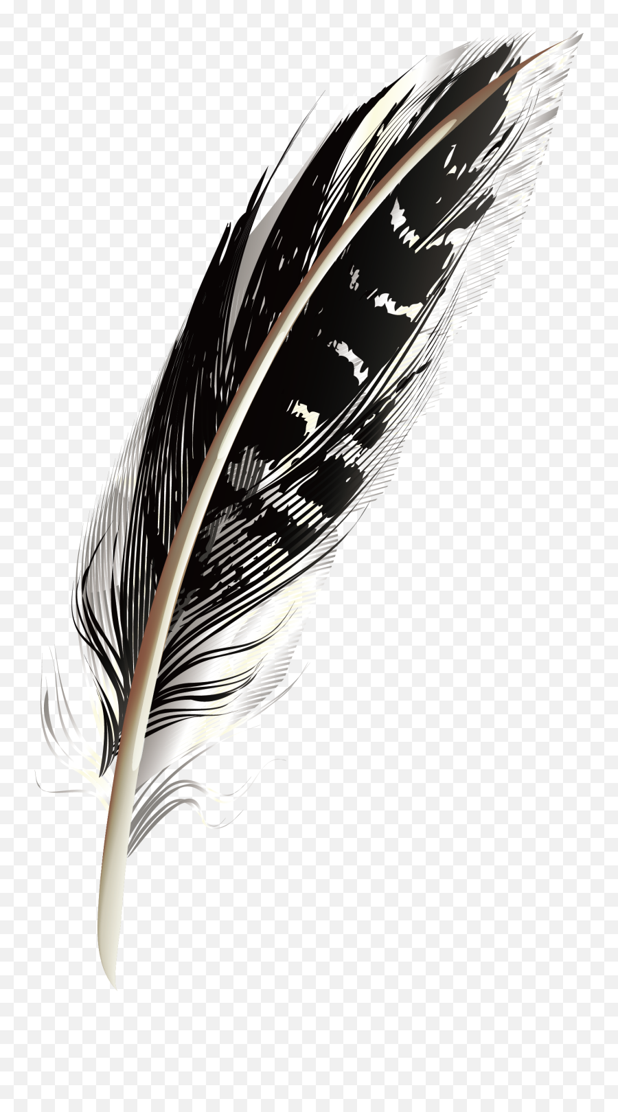 Feather - A Black Pattern Feathers Png Download 14882612 Black Feather Wings With Transparent Background Emoji,Feather Clipart Black And White