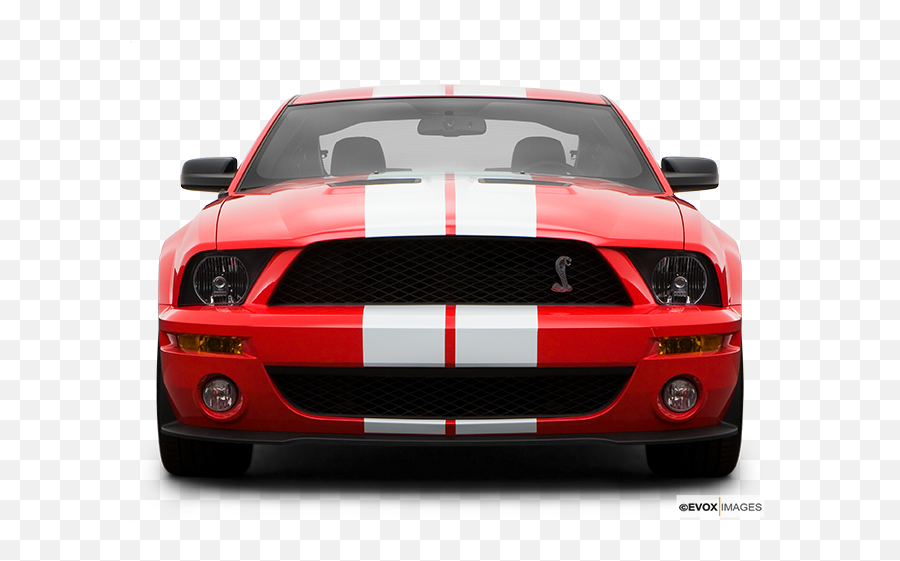 2008 Ford Mustang Review Carfax Vehicle Research Emoji,Shelby Mustang Logo
