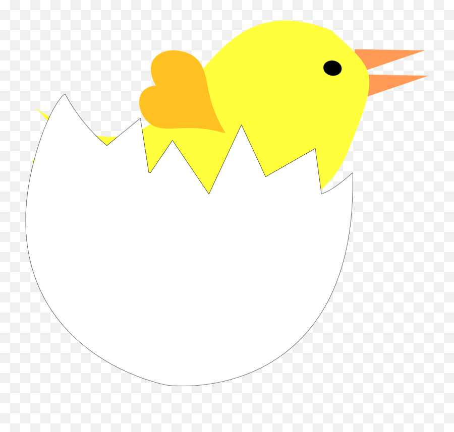 Egg Chick Eggshell - Free Vector Graphic On Pixabay Emoji,Broken Egg Png