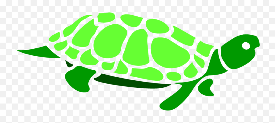 Clipart Turtle Green Turtle Clipart Turtle Green Turtle - Transparent Turtle Clip Art Emoji,Turtle Png