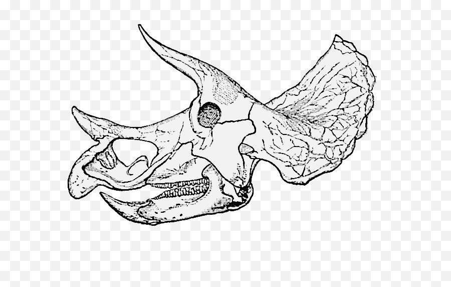 Triceratops - Triceratops Prorsus Skull Emoji,Triceratops Clipart