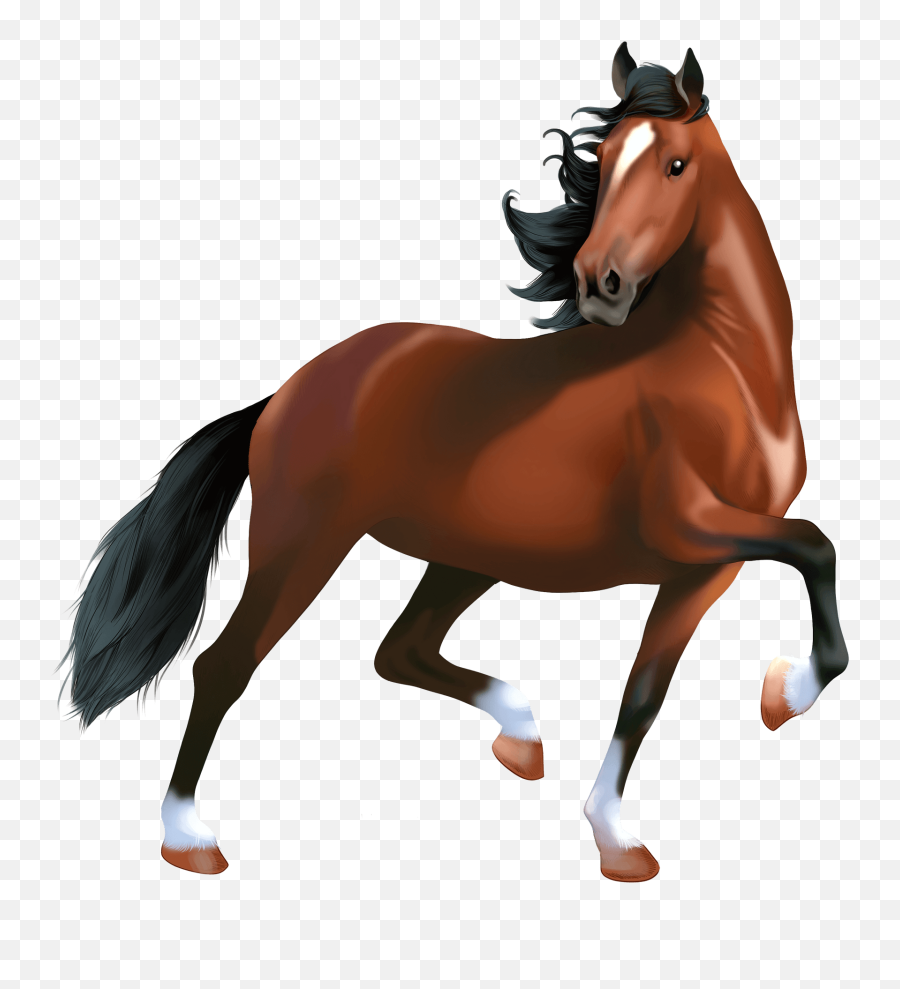 Hackney Horse Clipart Free Download Transparent Png - Clip Art Immagini Cavallo Emoji,Free Horse Clipart