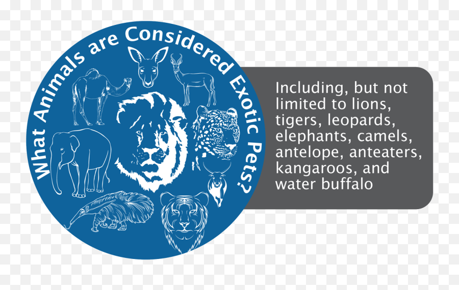 Owning An Exotic Pet Legalities U0026 Liabilities 2021 - Language Emoji,Alabama Elephant Logo