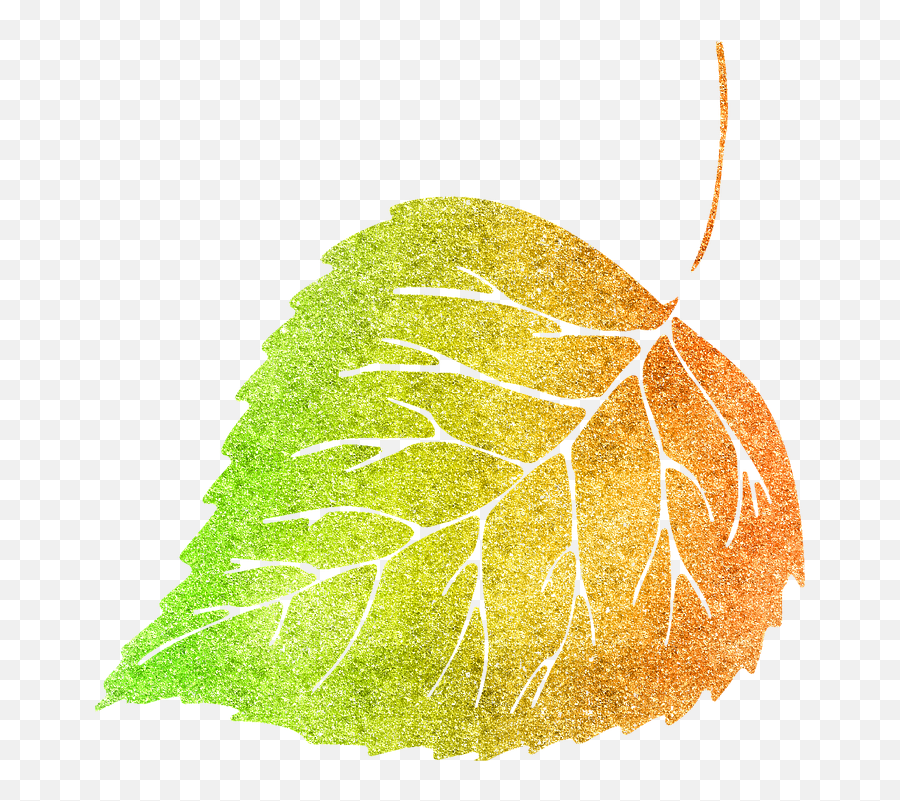 Free Photo Fall Filigree Glitter Leaf Glitter Nature Autumn Emoji,Filigree Transparent Background