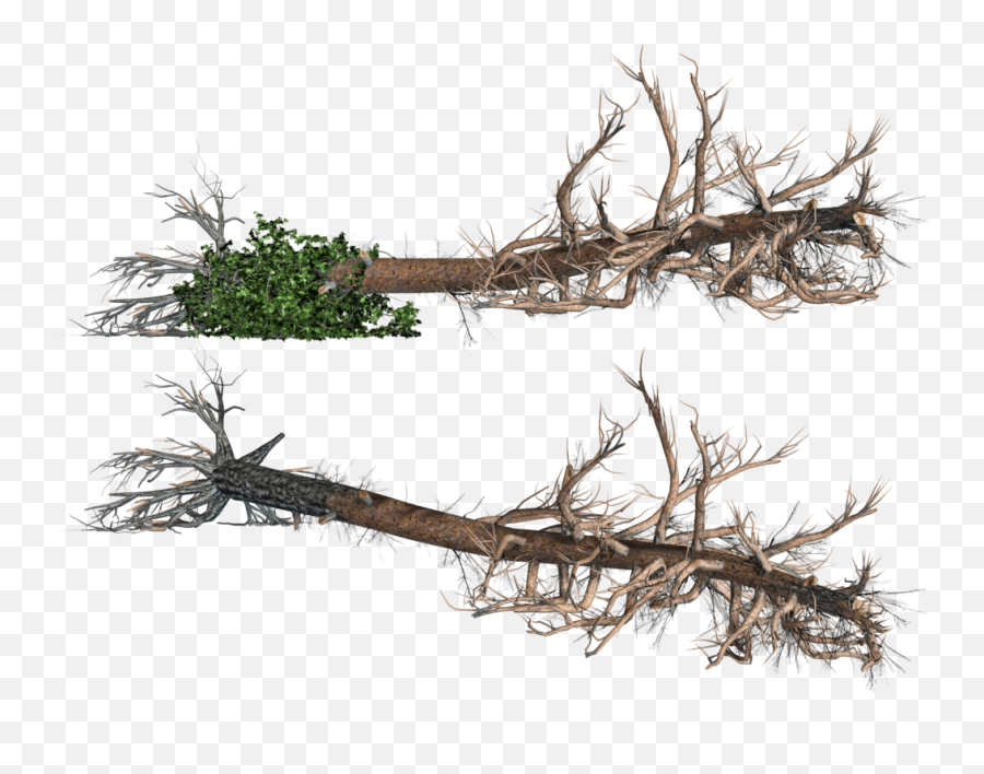 Fallen Log Clipart Clipground Cartoon - Broken Trees Png Emoji,Log Clipart