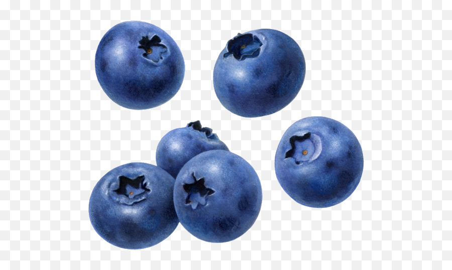 Blueberry Clipart Transparent - Transparent Background Blueberries Clipart Emoji,Blueberry Clipart