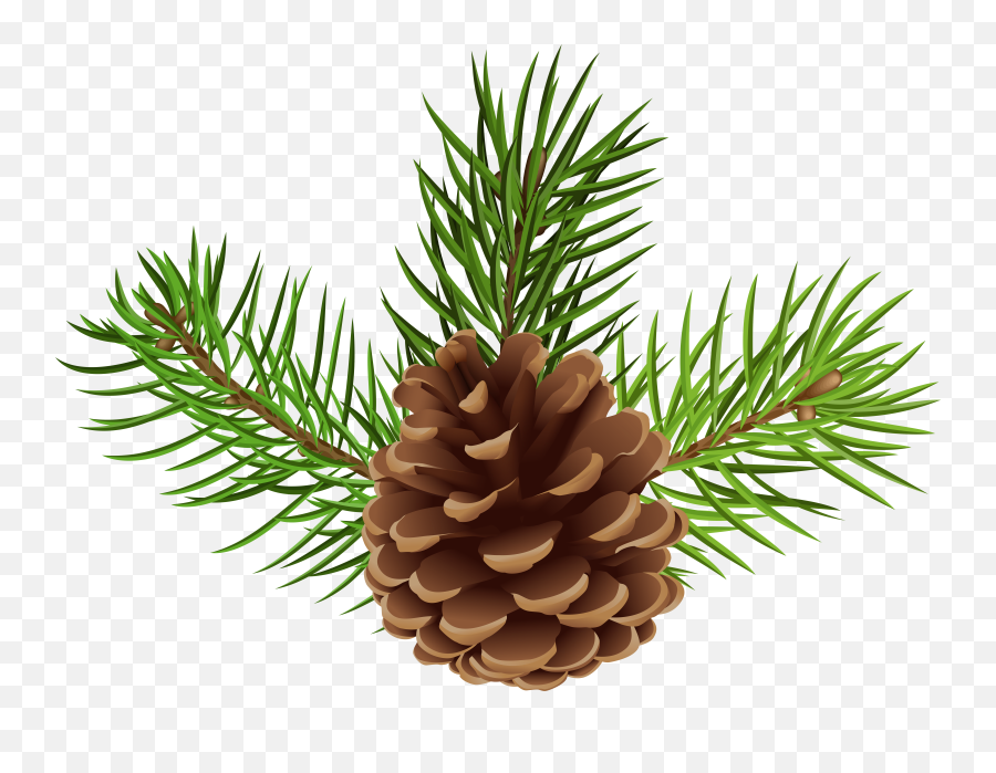 Pinecone Clipart Cartoon Pinecone - Transparent Pine Cone Png Emoji,Pine Cone Clipart