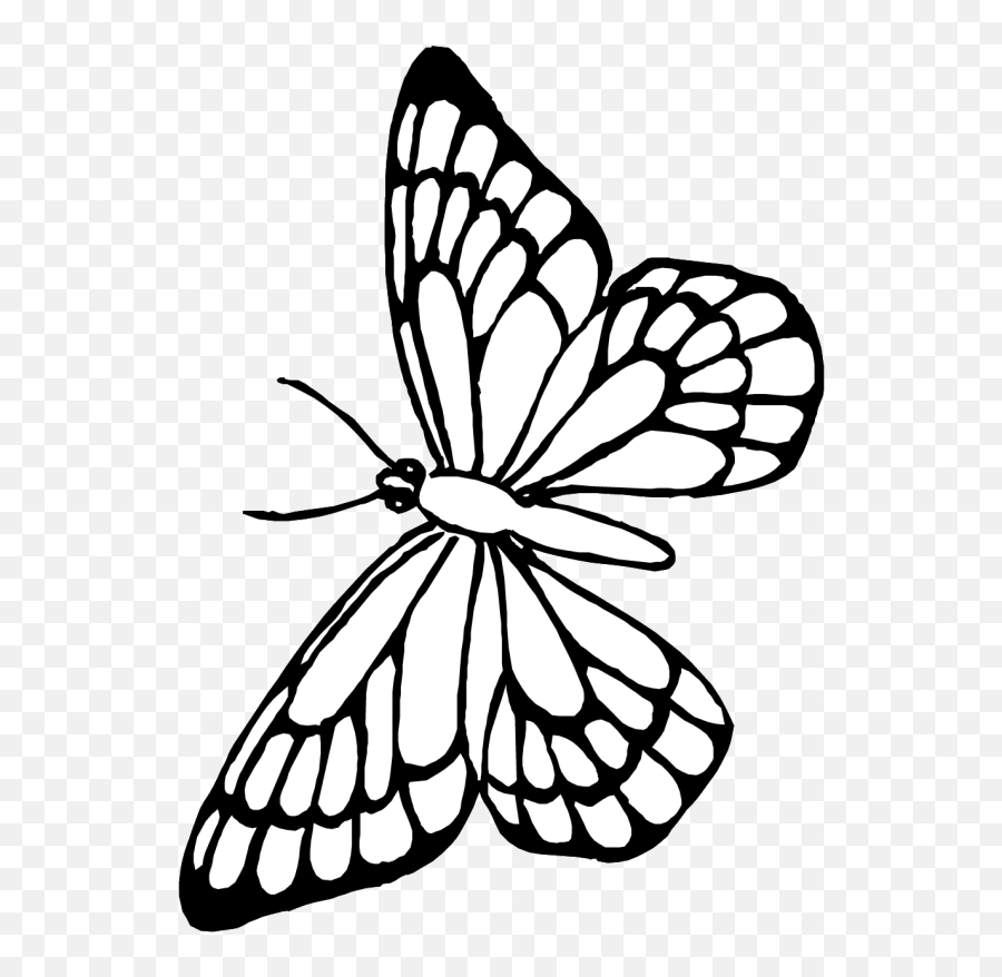 Pin Butterfly Outline Clipart - Free Printable Butterfly Coloring Pages Emoji,Butterfly Outline Clipart