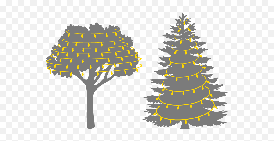 Christmas Tree Light Installation - Pine Tree Silhouette Pine Tree Clip Art Black And White Emoji,Pine Tree Silhouette Png