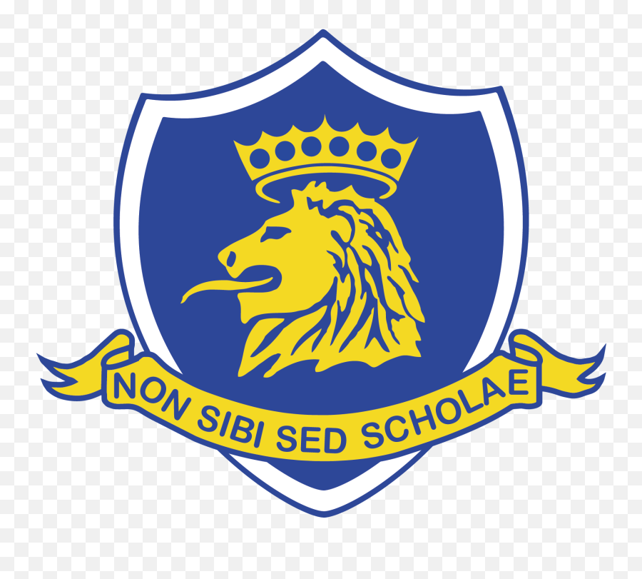 School Nicosia Logo Png Download - School Shield Logo Png Emoji,Gold Shield Png