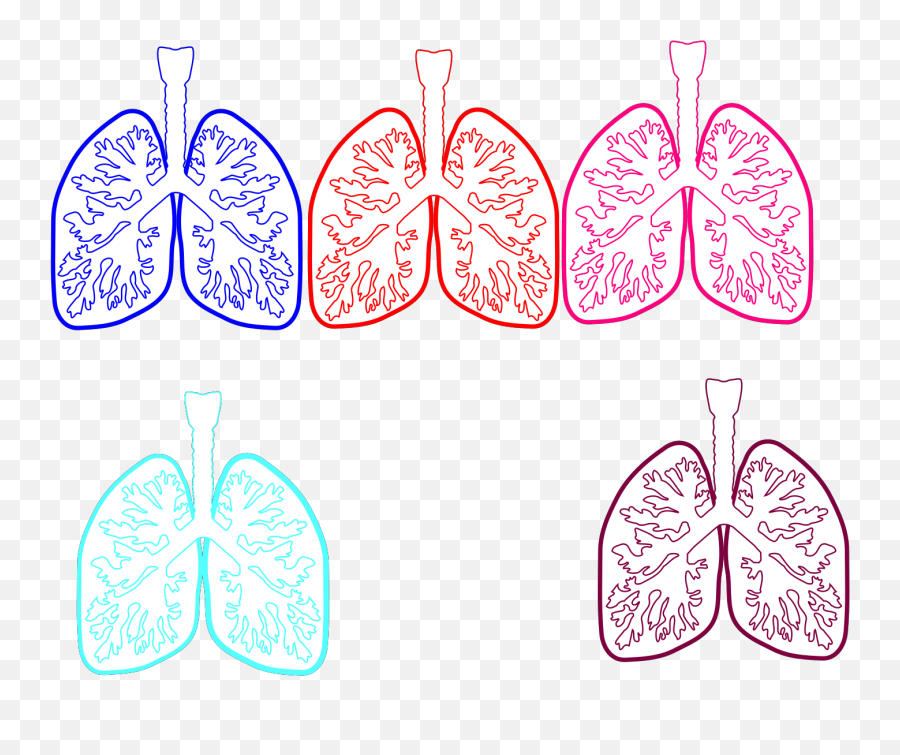 Lung Color Tika Hp Simple Svg Vector Lung Color Tika Hp - Girly Emoji,Lung Clipart
