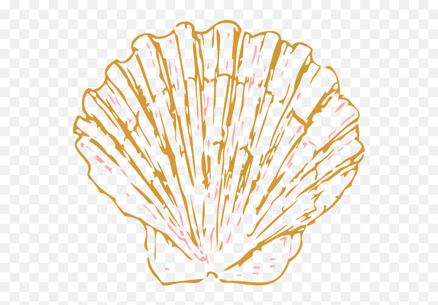 Shell Clipart Coral Clipart Shell - Clip Art Seashell Transparent Background Emoji,Shell Clipart