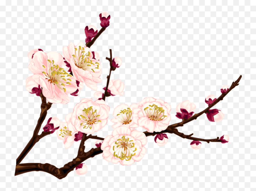 Cherry Blossom Vector - Chinese Flower Clip Art Hd Png Transparent Chinese Flower Png Emoji,Cherry Blossom Clipart