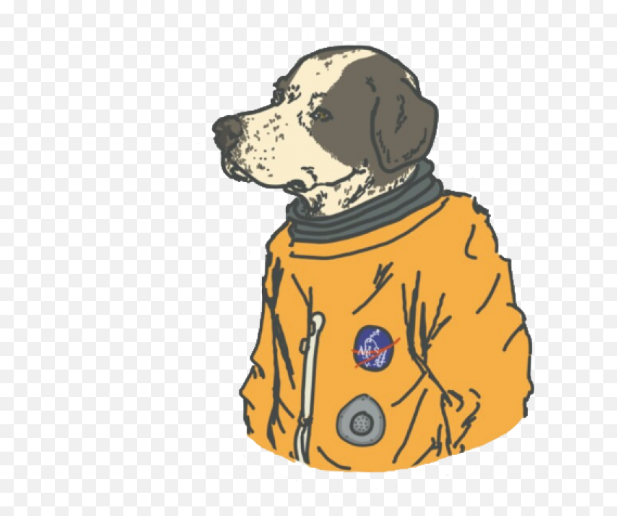 Space Dog Png - Sticker Ideas Png Emoji,Dog Png