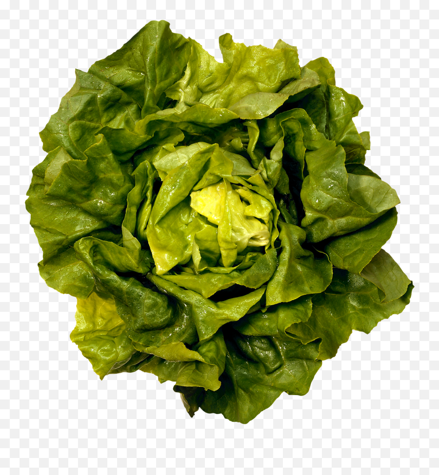 Green Salad Png Image - Diet Food Emoji,Salad Png