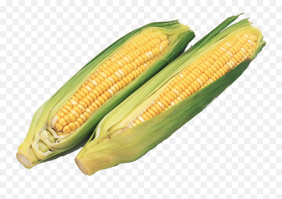 Corn Clipart Png - Corn On The Cob Emoji,Corn Clipart