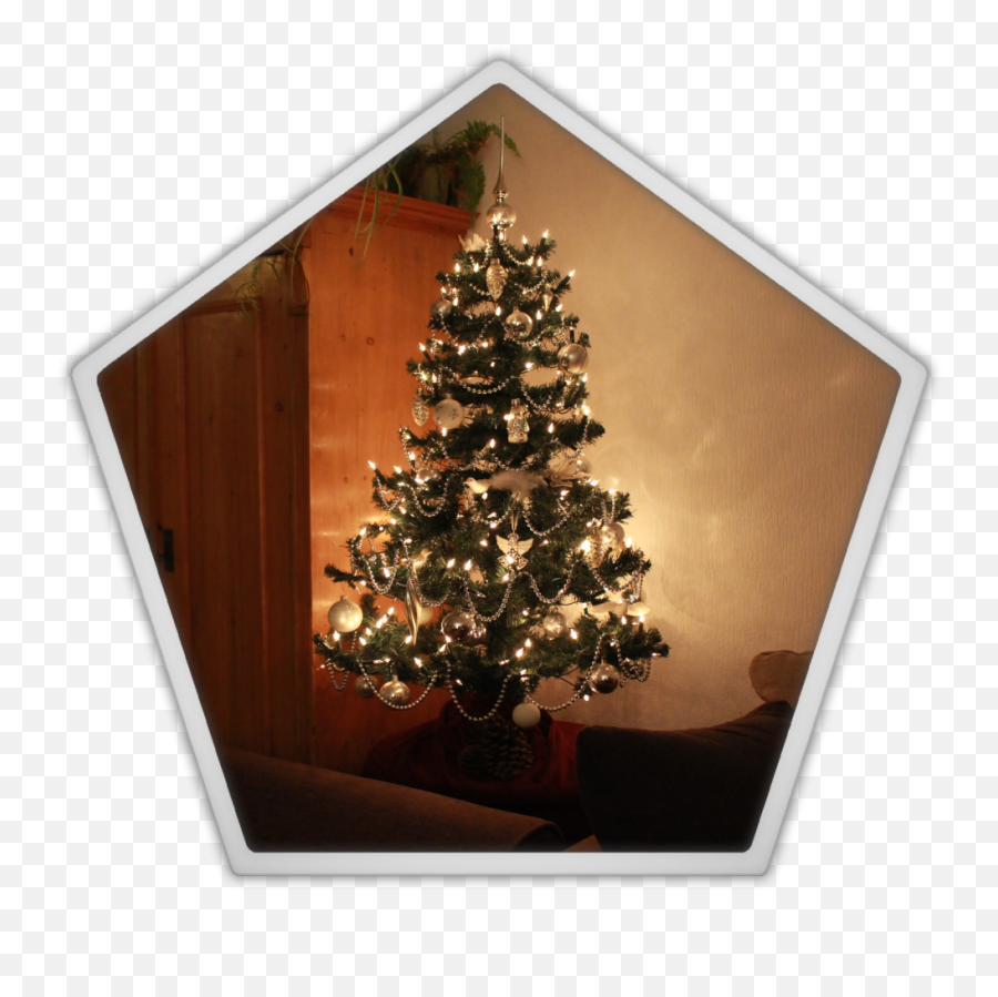 Download Hd Marjolein Kucmer Christmas - Plank Emoji,Christmas Decor Png