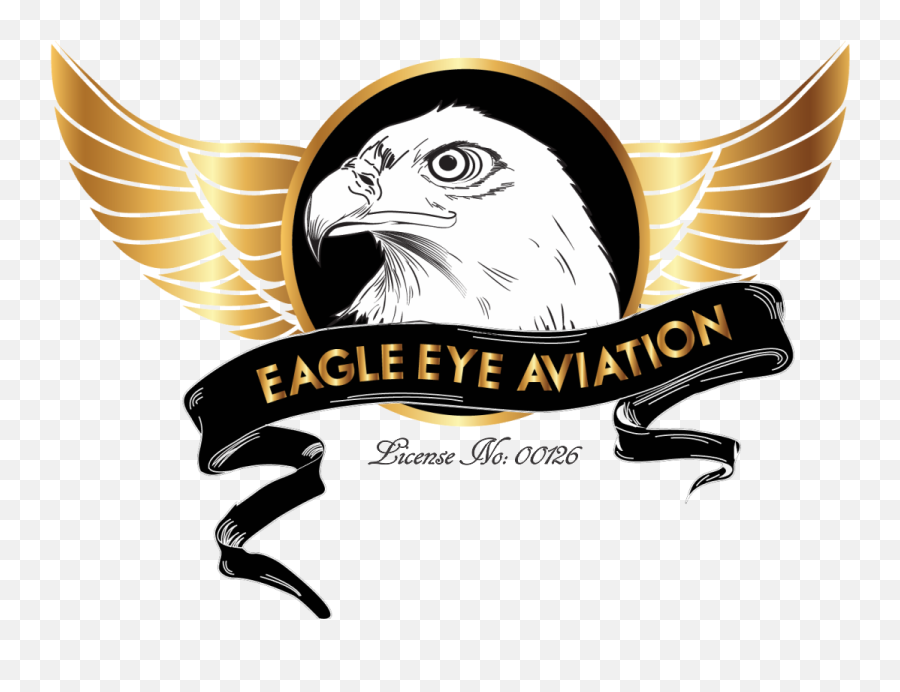 Eagle Eyes Png Logo Emoji,Eagle Eye Logo