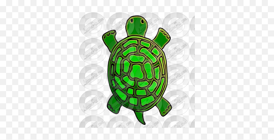 Turtle Picture For Classroom Therapy Use - Great Turtle Tortoise Emoji,Turtle Clipart