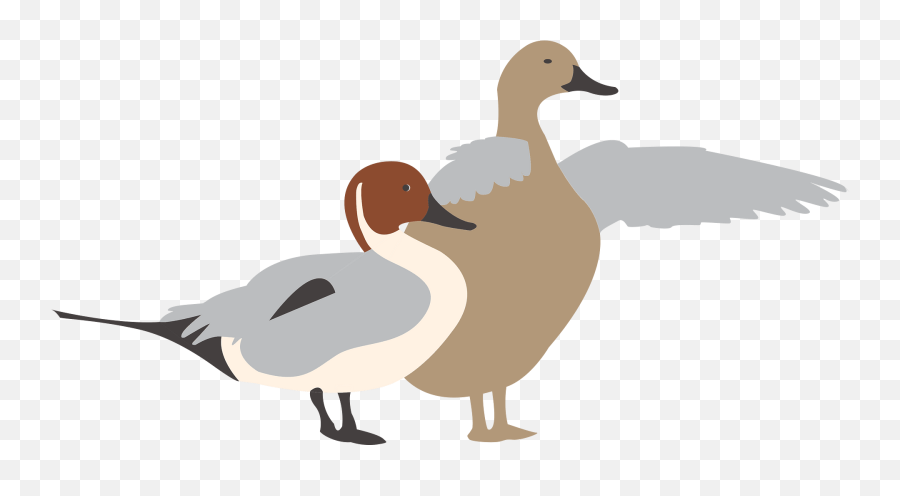 Ducks Clipart Free Download Transparent Png Creazilla Emoji,Ducklings Clipart