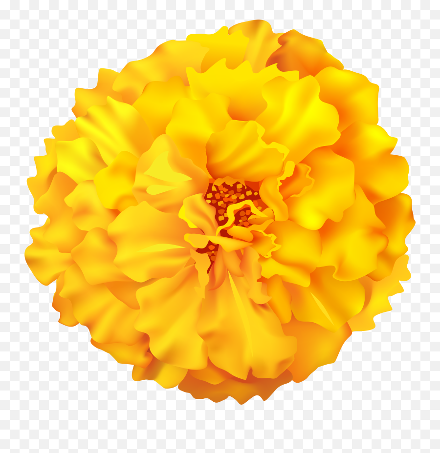 Marigold Flowers Emoji,Mexican Flowers Png