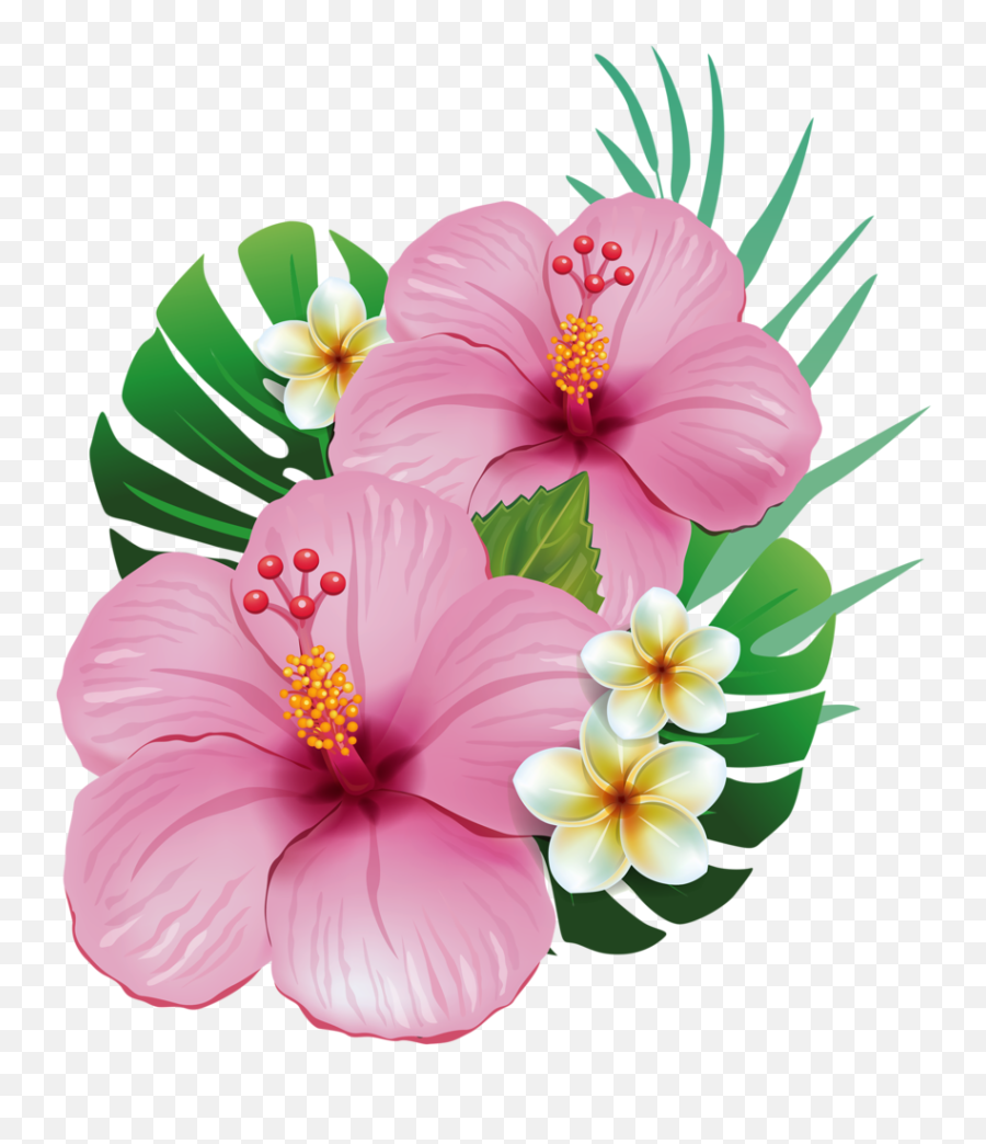 Moana Clipart Exotic Flower Moana Exotic Flower Transparent - Pink Hawaiian Flowers Transparent Emoji,Moana Png