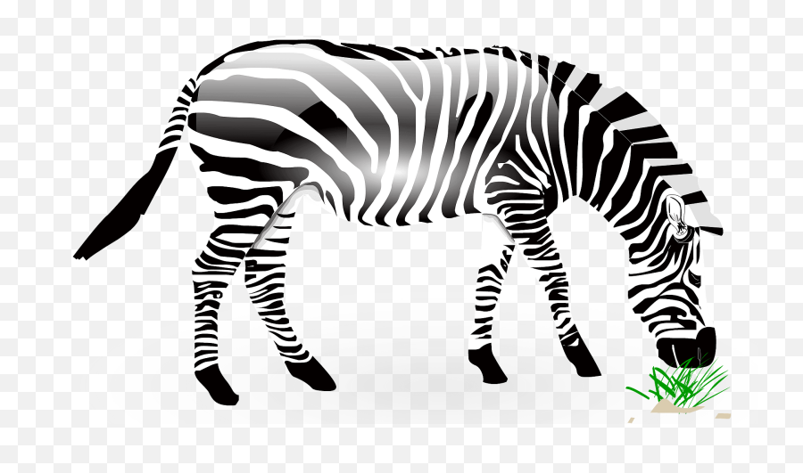 Zebra Eating Grass Clipart Free Download Transparent Png - Animals Eating Grass Clipart Emoji,Grass Clipart