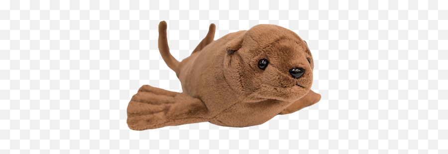Ocaq - Adoptionanimals105sealionplushadopt Oregon Emoji,Sea Lion Png