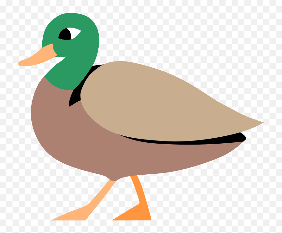 Feeding Duck Clipart Illustrations U0026 Images In Png And Svg Emoji,Ducklings Clipart