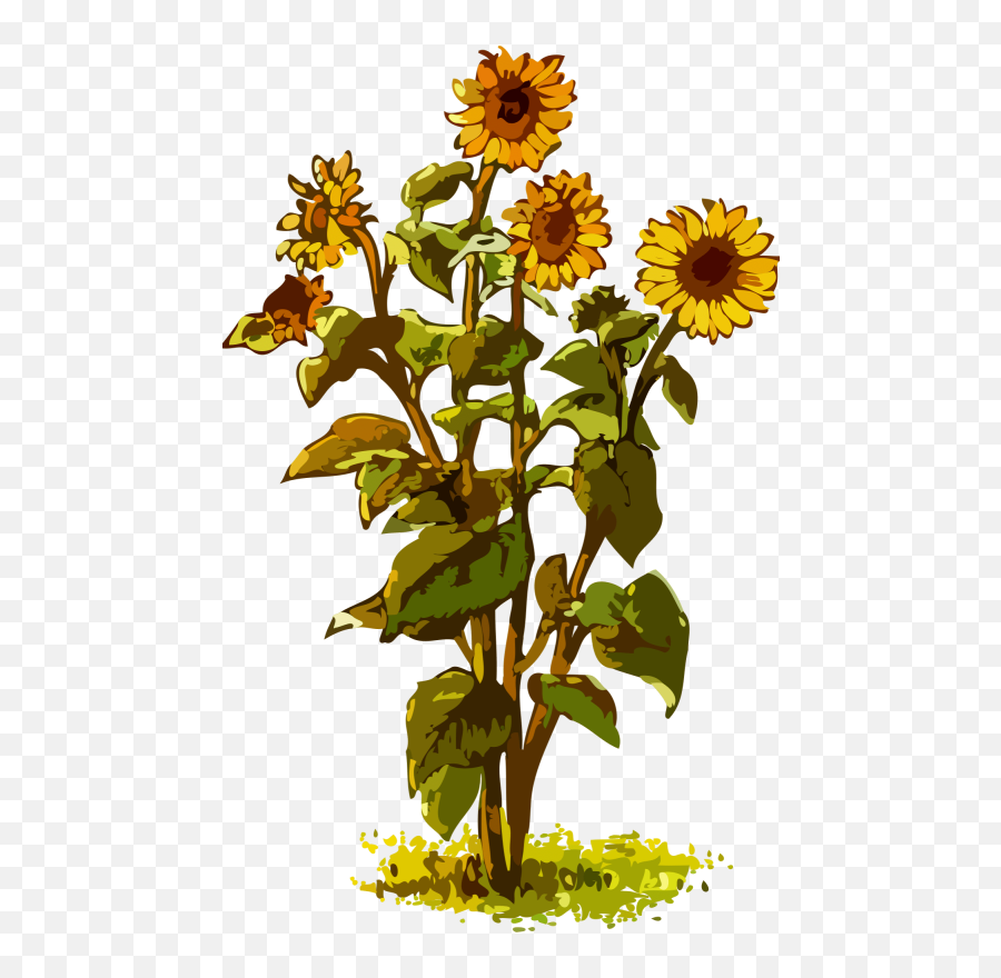 Sunflower U2013 Free Svg Clipart - Sunflower Plant Clipart Emoji,Sunflowers Clipart