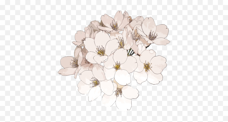 68 Images About Tumblr Flower Png On We Heart It See - Cherry Blossom Emoji,Cherry Blossom Png