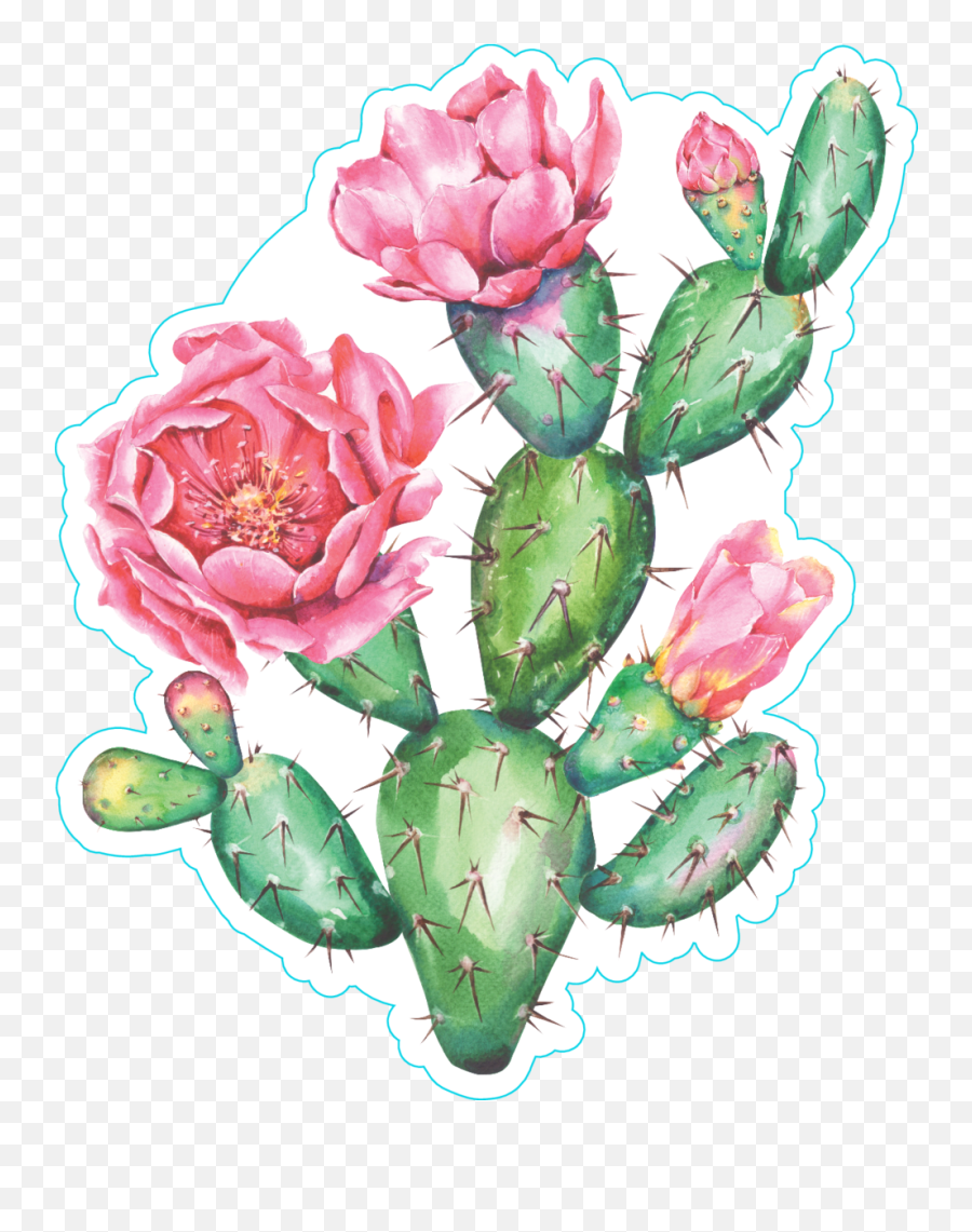 Watercolor Cactus Png - Watercolor Cactus With Beautiful Homy Cuadro Cactus Emoji,Cactus Png