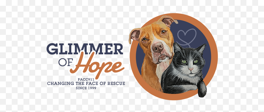 Glimmer Of Hope 2021 - Pacc911 Emoji,Cat Face Logo