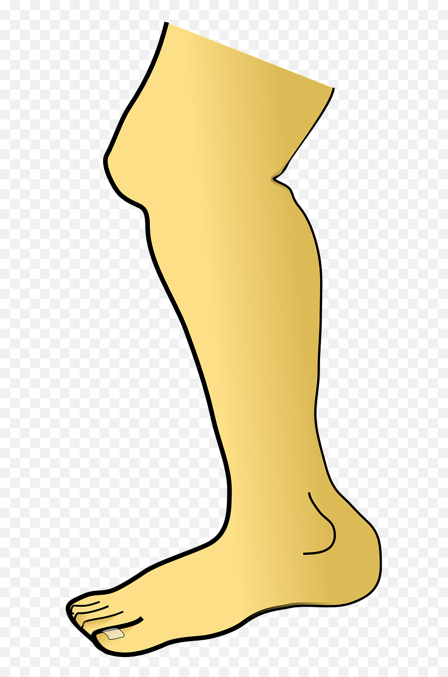 Leg Foot Toes - Clipart Image Of Leg Emoji,Leg Png