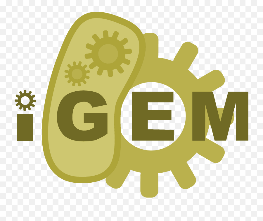 Download Hd Expand On Your Silver Medal Gold Shield Png - Igem 2021 Emoji,Gold Shield Png