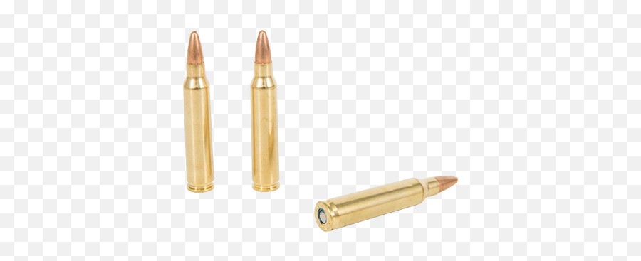 Non Standard Ammunition - Rifle Shells Emoji,Ammo Png