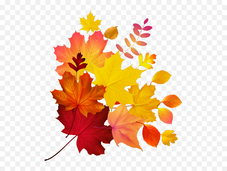 Download Autumn Color Leaf Maple Royalty - Free Download Hq Emoji,Free Clipart Autumn