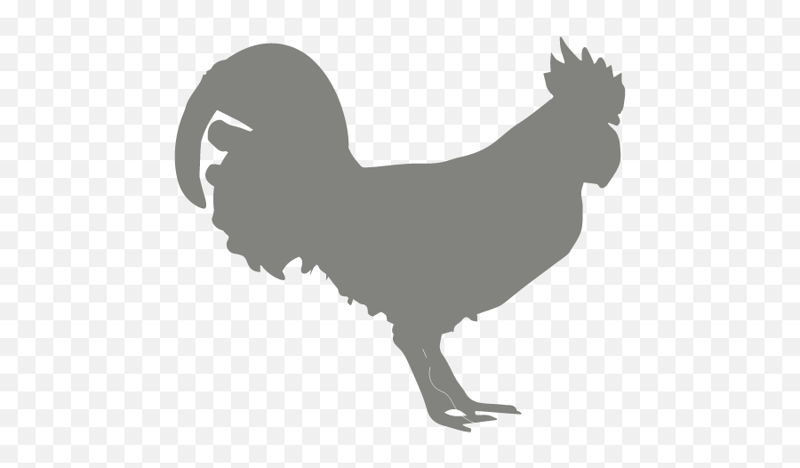 Poultrydvm Chicken Symptom Checker Chicken Health Emoji,Chicken Silhouette Clipart
