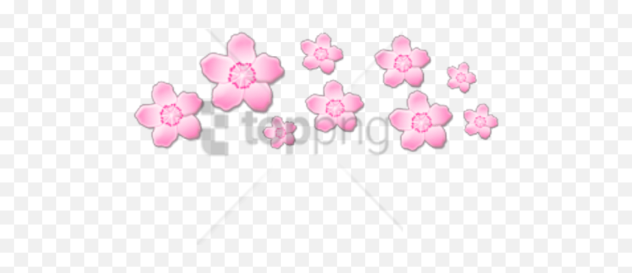 Download Free Png Flower Crown Tumblr Png Png Image With Emoji,Tumblr Flower Crown Transparent