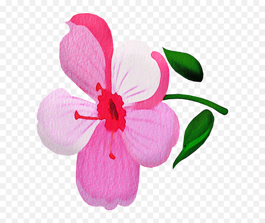 Free Photo Watercolor Flowers Pink Flower Floral Spring - Girly Emoji,Watercolor Floral Png