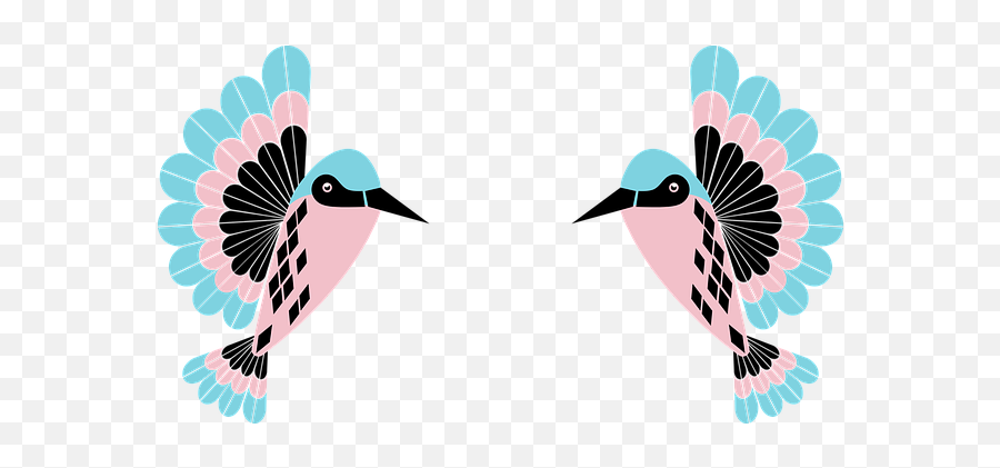 1000 Free Hummingbird U0026 Bird Images - Pixabay Birds Emoji,Hummingbird Clipart Black And White