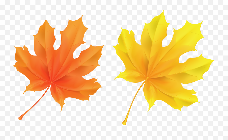 Fall Leaf Clipart No Background - Transparent Background Transparent Background Leaves Clipart Png Emoji,Fall Leaf Clipart